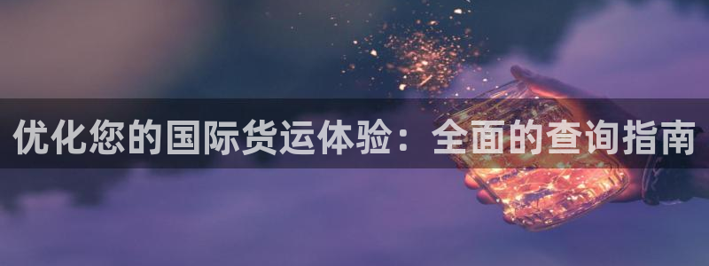 尊龙z6平台：优化您的国际货运体验：全面的查询指南