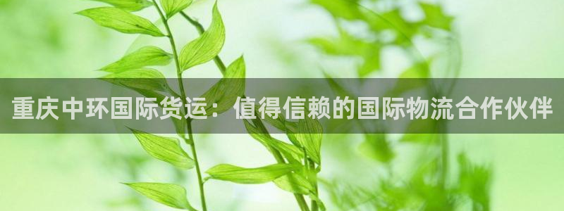 尊龙凯时人生就是搏平台：重庆中环国际货运：值得信赖的国际