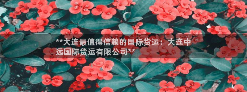 尊龙内地：**大连最值得信赖的国际货运：大连中
远国际货