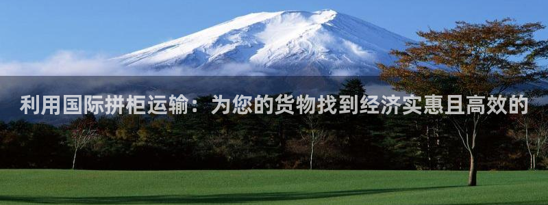 尊龙物流官网：利用国际拼柜运输：为您的货物找到经济实惠且