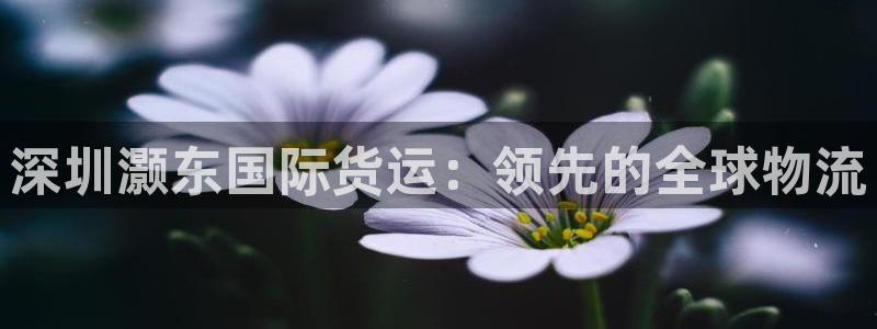 尊龙人生就是博一下首页：深圳灏东国际货运：领先的全球物流