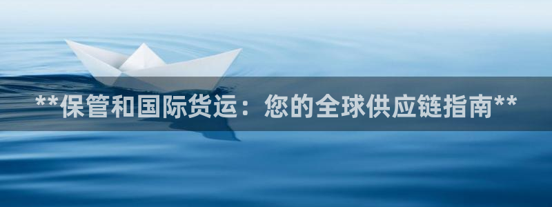 尊龙凯时d5138：**保管和国际货运：您的全球供应链指