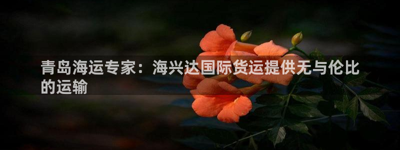 尊龙凯时ag旗舰厅试玩：青岛海运专家：海兴达国际货运提供