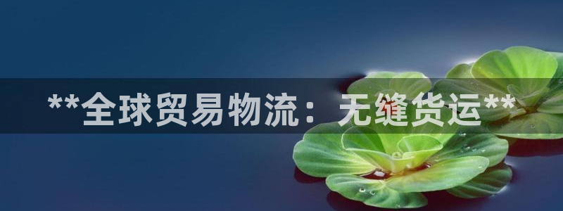 尊龙官网网站：**全球贸易物流：无缝货运**