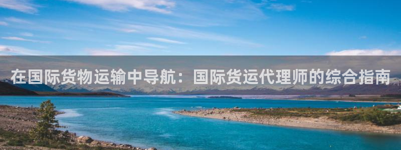尊龙凯时人生就是博官网登录：在国际货物运输中导航：国际货