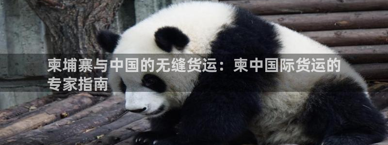 尊龙凯时人生就是搏 品牌专区：柬埔寨与中国的无缝货运：柬