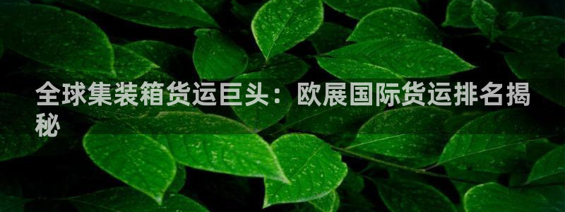 尊龙休闲e站怎么样：全球集装箱货运巨头：欧展国际货运排名