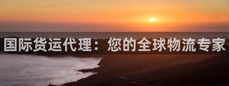 尊龙人品怎么样：国际货运代理：您的全球物流专家