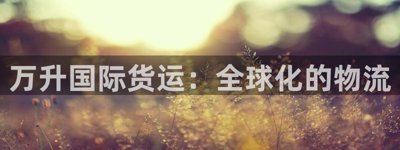 z6尊龙官网平台下载：万升国际货运：全球化的物流
