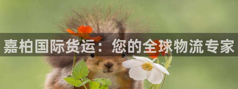 尊龙ag旗舰：嘉柏国际货运：您的全球物流专家