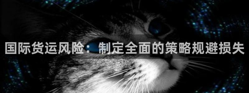 尊龙凯时泰安：国际货运风险：制定全面的策略规避损失