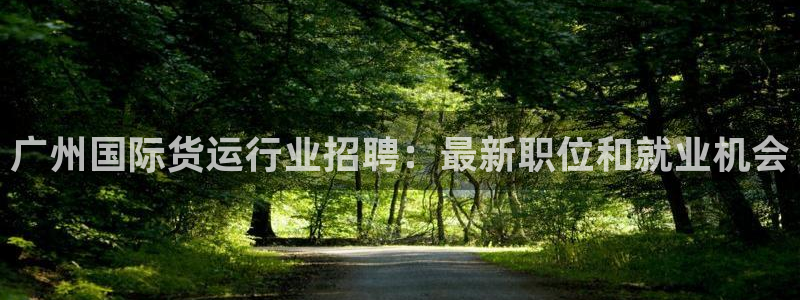 尊龙凯时登陆入口：广州国际货运行业招聘：最新职位和就业机