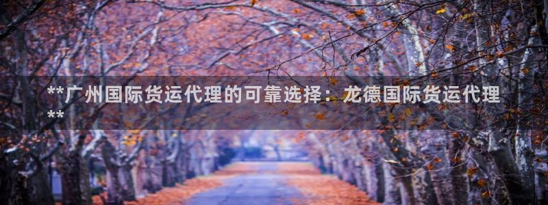 尊龙人生就是博下载：**广州国际货运代理的可靠选择：龙德