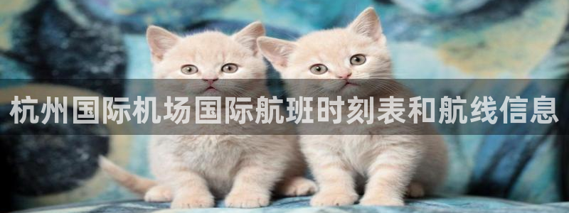 尊龙凯时注册：杭州国际机场国际航班时刻表和航线信息