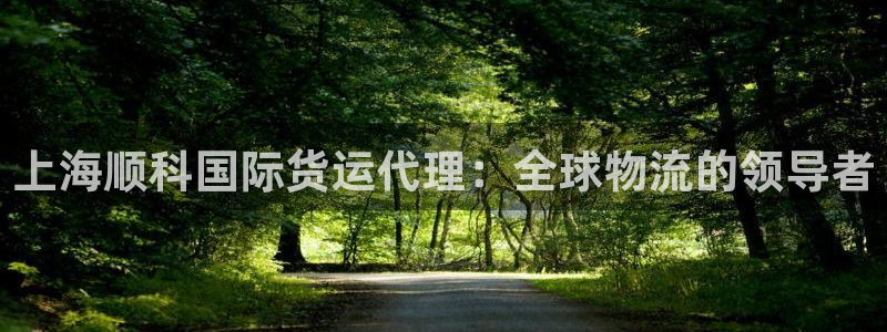 尊龙旗舰厅app：上海顺科国际货运代理：全球物流的领导者