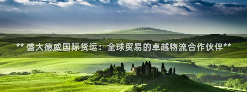 尊龙凯时app官方网站：** 盛大德威国际货运：全球贸易