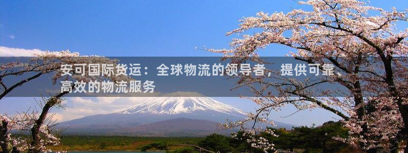 尊龙凯时有封银行卡的吗：安可国际货运：全球物流的领导者，