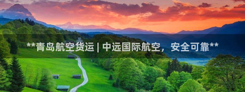 尊龙官网手机版下载：**青岛航空货运 | 中远国际航空，