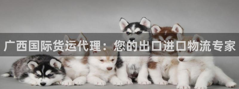 尊龙凯时只输不赢：广西国际货运代理：您的出口进口物流专家