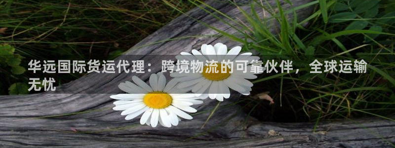 尊龙凯时老板：华远国际货运代理：跨境物流的可靠伙伴，全球