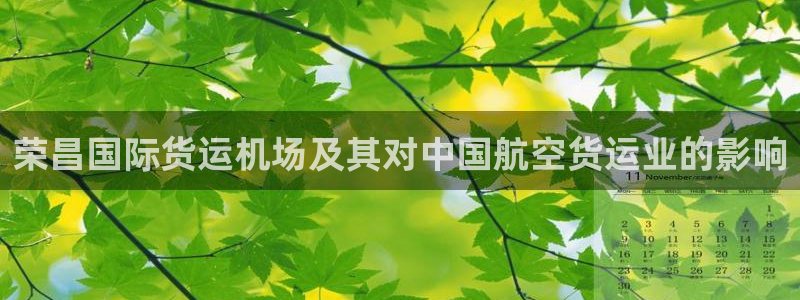 尊龙这个平台怎么样：荣昌国际货运机场及其对中国航空货运业