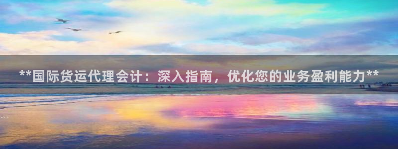 尊龙凯时存款多久到账：**国际货运代理会计：深入指南，优