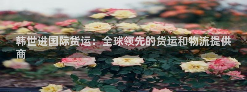 尊龙凯时平台信誉怎样：韩世进国际货运：全球领先的货运和物