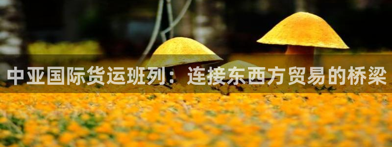 尊龙凯时请求参数不符合：中亚国际货运班列：连接东西方贸易