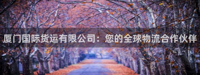 尊龙凯时ag旗舰：厦门国际货运有限公司：您的全球物流合作