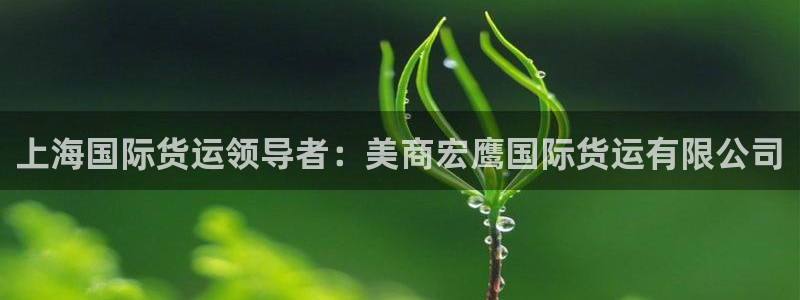 尊龙新版人生就是博!：上海国际货运领导者：美商宏鹰国际货