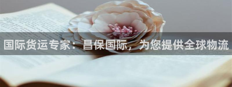 尊龙官网手：国际货运专家：昌保国际，为您提供全球物流
