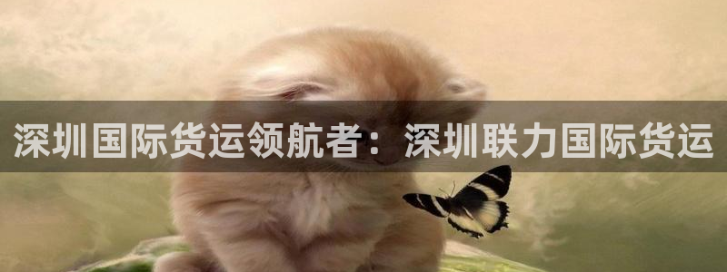 z6com尊龙：深圳国际货运领航者：深圳联力国际货运