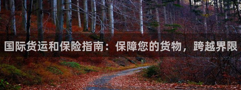 尊龙服饰有限公司地址：国际货运和保险指南：保障您的货物，