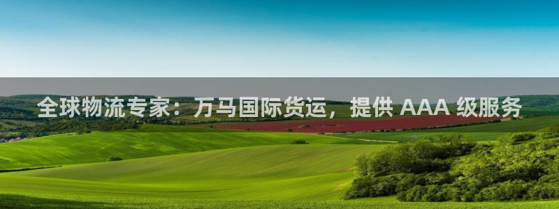 z6com尊龙凯时：全球物流专家：万马国际货运，提供 A
