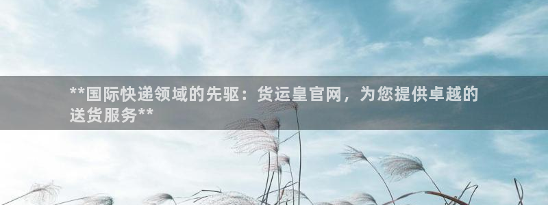尊龙凯时代理官网入口：**国际快递领域的先驱：货运皇官网