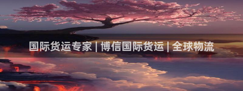 尊龙官网首页：国际货运专家 | 博信国际货运 | 全球物