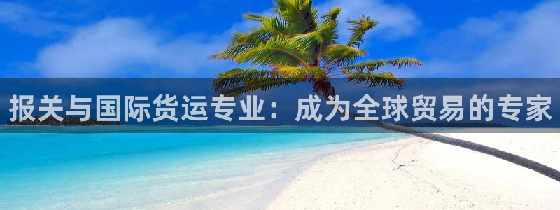 尊龙游戏官方网：报关与国际货运专业：成为全球贸易的专家