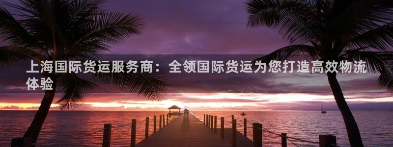 尊龙凯时线下赌场：上海国际货运服务商：全领国际货运为您打