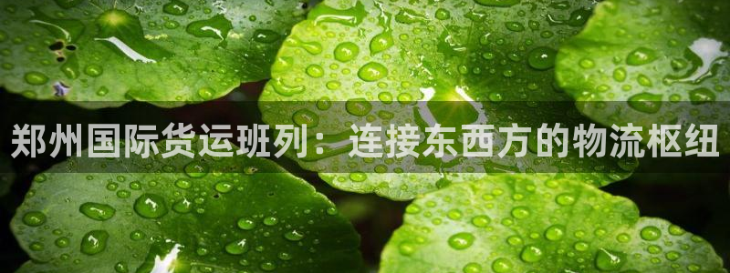 尊龙凯时电竞注册：郑州国际货运班列：连接东西方的物流枢纽
