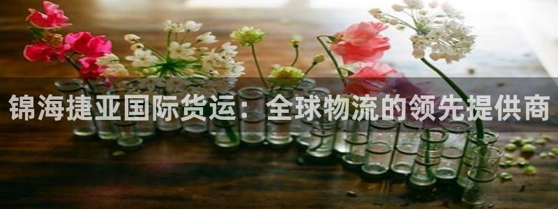 尊龙集团有限公司是国企吗：锦海捷亚国际货运：全球物流的领