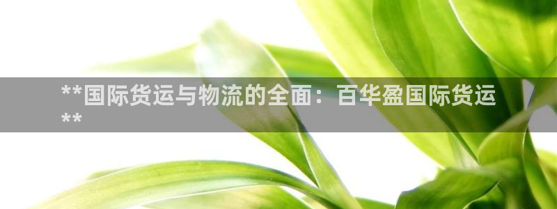 尊龙凯时为什么输了钱：**国际货运与物流的全面：百华盈国