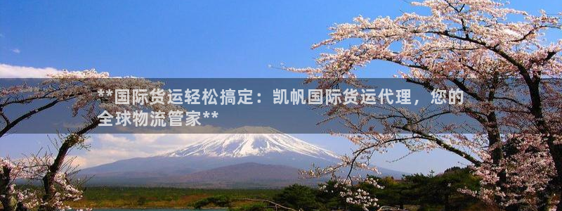 尊龙官网在哪里：**国际货运轻松搞定：凯帆国际货运代理，