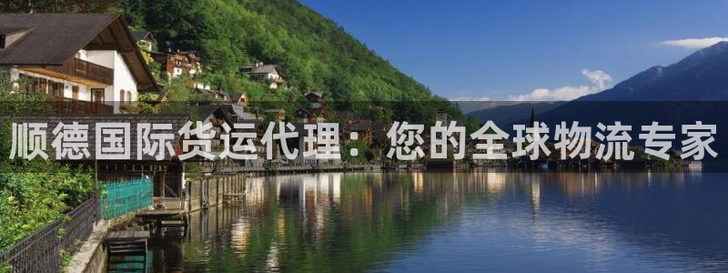 尊龙凯时城游戏官网：顺德国际货运代理：您的全球物流专家
