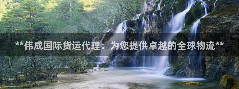 尊龙人生手机版都去ag发财网：**伟成国际货运代理：为您