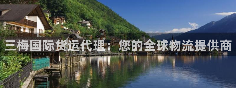 尊龙客服：三梅国际货运代理：您的全球物流提供商