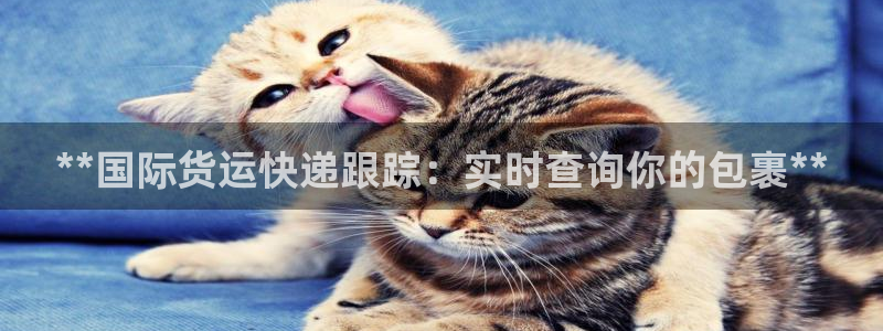 尊龙凯时导航菜单首页：**国际货运快递跟踪：实时查询你的