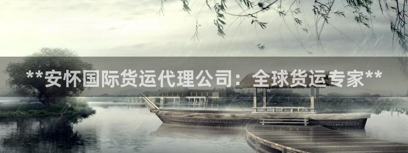 尊龙内地：**安怀国际货运代理公司：全球货运专家**