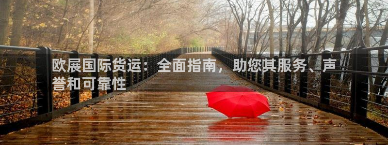 尊龙d88现金关注ag发财网：欧展国际货运：全面指南，助
