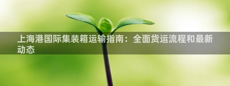 尊龙新版app：上海港国际集装箱运输指南：全面货运流程和