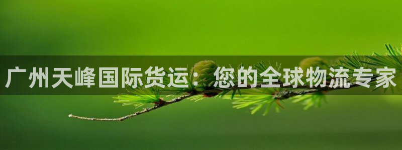 尊龙z6官网：广州天峰国际货运：您的全球物流专家